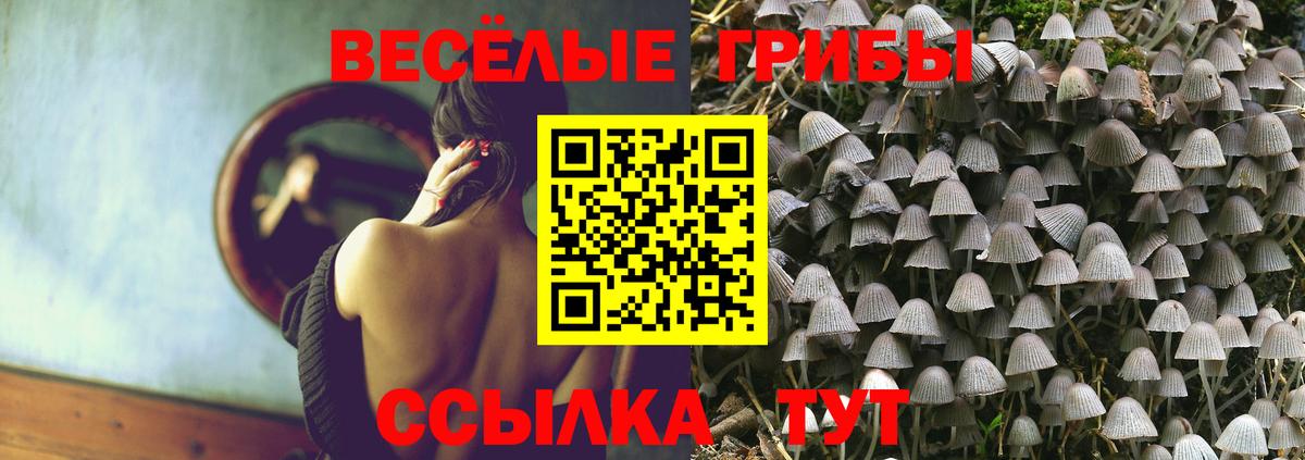 Псилоцибиновые грибы Psilocybine cubensis Майкоп